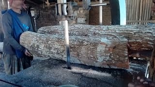 Mahogany Wood Fantastic Mahogany Color Wood Cutting Wood Mahogany Process Sawmill [upl. by Atiuqehs549]