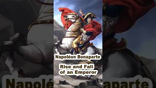 Napoleon Bonaparte Rise and Fall of an Emperor [upl. by Nanreik278]