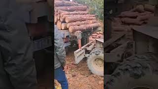 Preparation process before transporting logs [upl. by Edla]