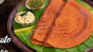 தக்காளி தோசை  Thakkali Dosai Recipe In Tamil  Tomato Dosa  Easy Breakfast Ammumakitchen [upl. by Fabiolas]