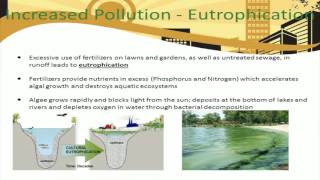 Effects of Urbanization on Environment [upl. by Tiny]