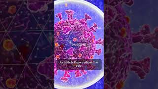 What is Immune System I Part 3 [upl. by Igor]