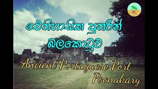 Poonakary Fort  Pooneryn  Historical Place  Portuguese  Dutch  Sri Lanka  Travel Nature [upl. by Yelsehc]