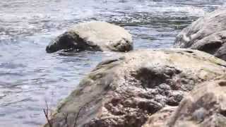 Wisconsin Lakes — Rainbow Flowage [upl. by Nalac108]