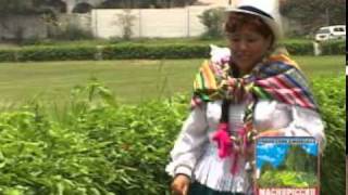 ROSITA DEL CUSCO  CARNAVAL CUSQUEÑO [upl. by Meisel]