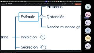 FISIOLOGIA FISIOPATOLOGIA  FASE 3  TEORIA 02  01 [upl. by Phedra]