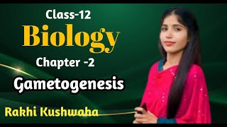 Gametogenesis  Unit Reproduction Ch 2  Part3  by Rakhi Kushwaha [upl. by Gwenni703]