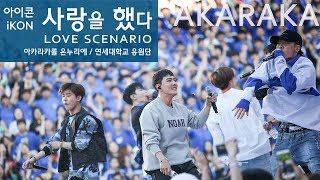 iKON Love Scenario live  아이콘 사랑을 했다 떼창  Fanchant Fancam  AKARAKA 2018 아카라카 연세대 축제 [upl. by Bekah]