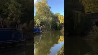 Narrowboat cruises past Bridge 84 and a fallen tree obstructs the Grand Union canal towpath canal [upl. by Ailisec]