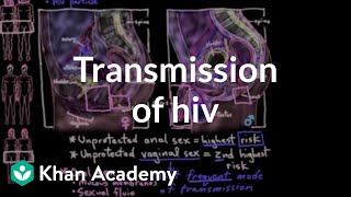 Transmission of HIV  Infectious diseases  NCLEXRN  Khan Academy [upl. by Coats]