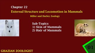 Locomotion and External Structure in Mammals  Miller and Harley Zoology [upl. by Lindell427]