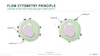 Establishing Efficacy with Flow Cytometry Based Receptor Occupancy Assays [upl. by Elorac115]