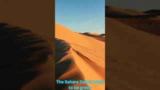 sahara desert used to be green didyouknow [upl. by Rosamund]