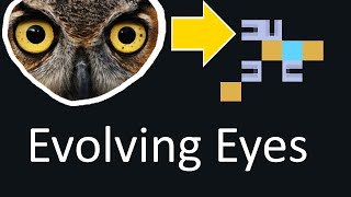 How Eyes Evolved Richard Dawkins [upl. by Jahdol]