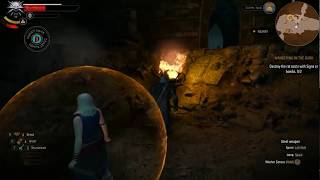 Wandering in The Dark The Witcher 3 Destroy Rat Nest [upl. by Niwle]