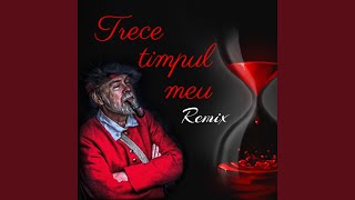 Trece timpul meu  Тихо как в раю Remix [upl. by Morty]