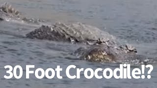 30 Foot Crocodile Seen in Philippines [upl. by Chor]