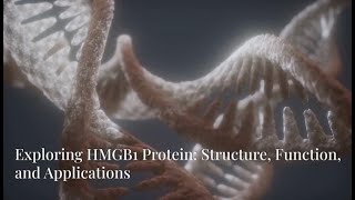 Exploring HMGB1 Protein Structure Function and Applications [upl. by Renny813]