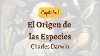 El Origen de las Especies  Capítulo 1  Parte 3  Audiolibro [upl. by Nason]