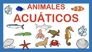 ANIMALES ACUÁTICOS 🐟 Vocabulario 🐬ARASAAC [upl. by Shaya620]