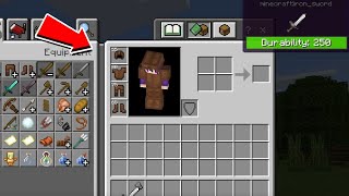 This Texture Pack Add A Durability View To Your Armour and Tools Minecraft BE 116 [upl. by Letnwahs]