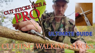 Cut Sticks Like A Pro  Making Walking Sticks  Hazel Shanks [upl. by Zullo718]