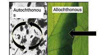 Autochthonous Vs Allochthonous Vs Parautochthonous ll Ecology ll Biology With Iswar ll csirnet 2021 [upl. by Adahsar207]