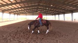 Matt Mills Reining  How to Teach Your Horse How to Spin Step 1 [upl. by Eednar]