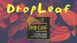 DROP LEAF RIDDIM MIX [upl. by Ahselat]