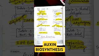 AUXIN BIOSYNTHESIS• IPA PATHWAY• TRYPTAMINE PATHWAY• CSIR NET LIFE SCIENCES auxincsirnetlifescien [upl. by Gosney]