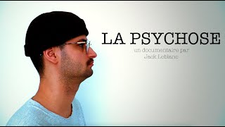 LA PSYCHOSE  Documentaire  SANTÉ MENTALE [upl. by Jess]