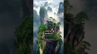 The biggest jungle in the world likes and support subscribe shorts factshorts trending [upl. by Thoma]