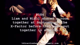 Niam and Ziall Facts [upl. by Ahsihat206]