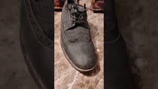 Steve Madden wingtip shoes [upl. by Fuller]