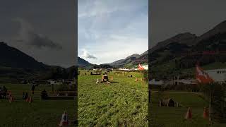 Holzrücken mit Pferden in Frutigen 🇨🇭😎💪 [upl. by Josler]