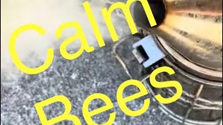 🐝 Bee Smoking 101 Tips amp Tricks from 82yo Beekeeper PawpawSammyAlyBug [upl. by Harrietta740]