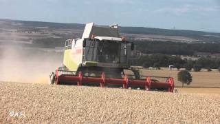 Claas Lexion 580 TT vs 33 ha Sommergerste  Südzucker AG [upl. by Syl]