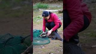 Rescuing a Helpless Otter A Heartwarming Story of Kindness [upl. by Goodard128]