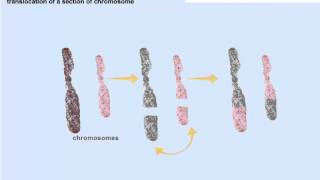 Cytoskeleton Microtubules  Cell Biology [upl. by Irtak]