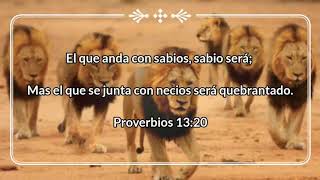 Versículo del día  Proverbios 1320 [upl. by Keven]