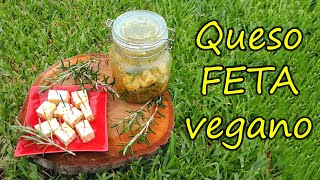 Queso FETA vegano por Nely Helena Acosta Carrillo [upl. by Quita614]