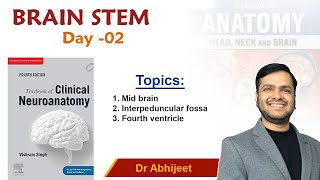 Neuroanatomy  Brain Stem For Mbbs 1st Proff By Dr Abhijeet [upl. by Francesca]