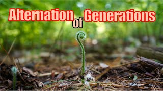 On Alternation of Generations [upl. by Eisenhart]