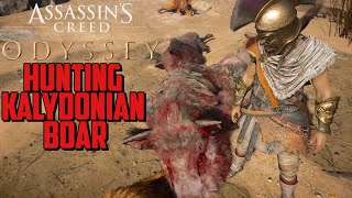 How to Defeat the Calydonian Boar in Assassin’s Creed Odyssey [upl. by Bluefield963]