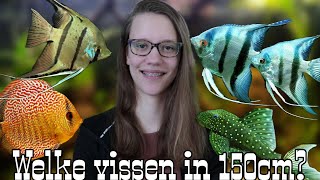 MAANVISSEN  VISSEN voor 150cm AQUARIUM Deel 55 Nickey [upl. by Neelrak343]