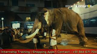 Tripunithura Vrischikolsavam Elephants 2022  Sree Poornathrayeesa Temple EP2 thripunithura [upl. by Broida]