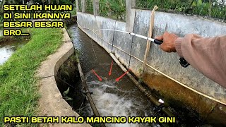 Mancing di Selokan Setelah Hujan Dapat Ikan Besar Besar LM09 [upl. by Yaron478]