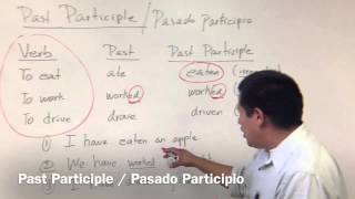 Past Participle  Pasado Participio En El Inglés [upl. by Calendra]