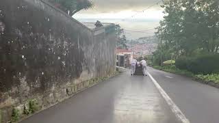 Toboggan ride on the streets of Monte Madeira Portugal [upl. by Lac493]