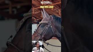 Horse Reaction fyp reels short Part 15 [upl. by Ishii207]